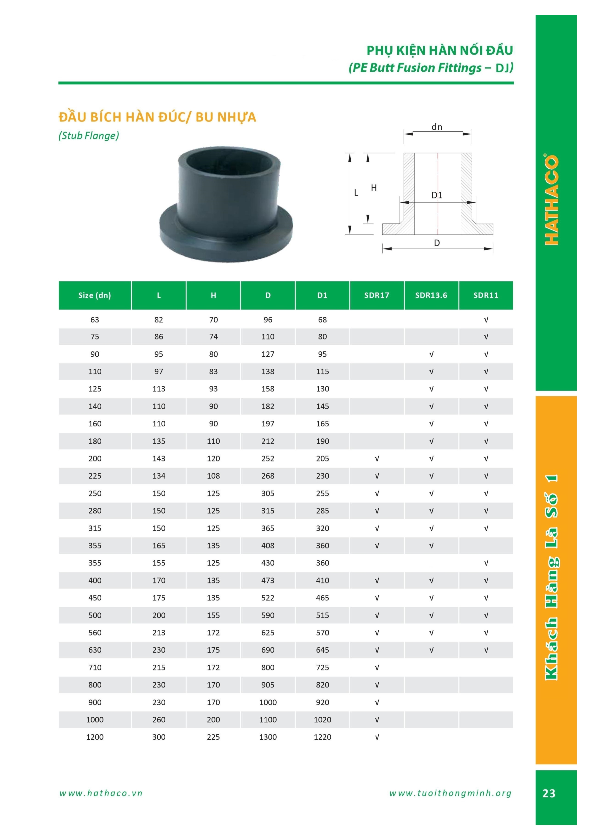 Mặt bích/Bu hàn đối đầu HDPE Hathaco 1