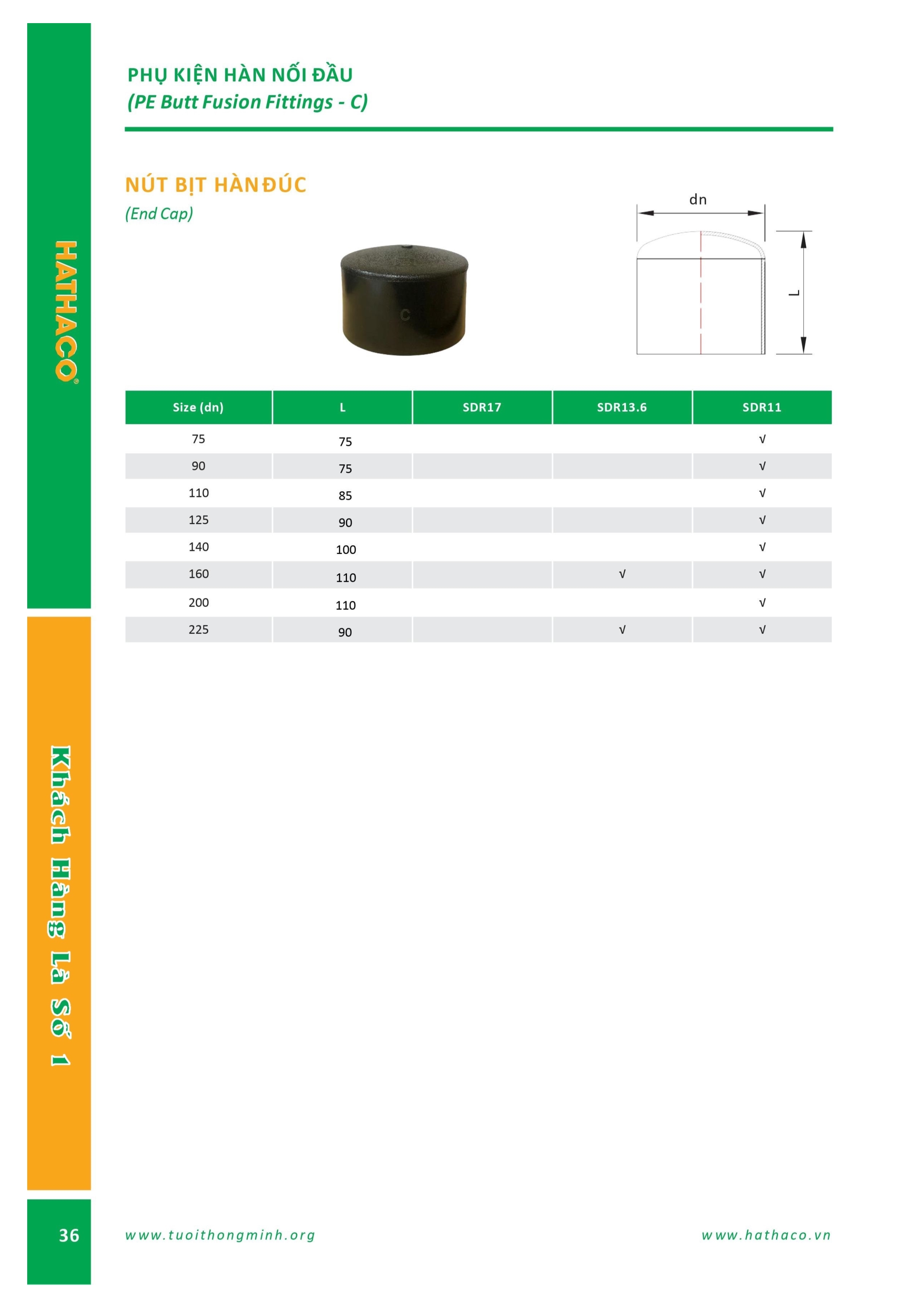 Nắp bịt hàn HDPE hathaco 2