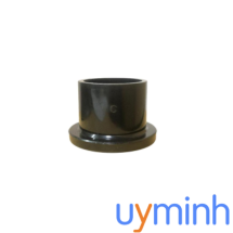 Đầu bích hàn đúc/Bu nhựa
