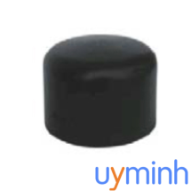 Nắp bịt HDPE hàn nối trong