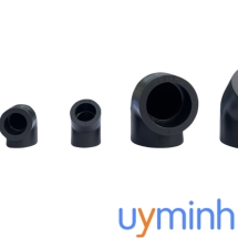 Phụ kiện PPR UV Bình Minh