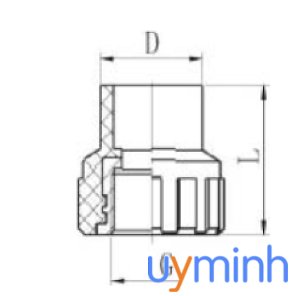 Măng sông ren trong  HDPE hàn nối trong